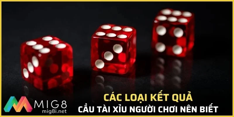 Tài Xỉu Là Gì? Hướng Dẫn Soi Cầu Chuẩn Tới 99% Tại Mig8 2 Các loại kết quả cầu tài xỉu người chơi nên biết