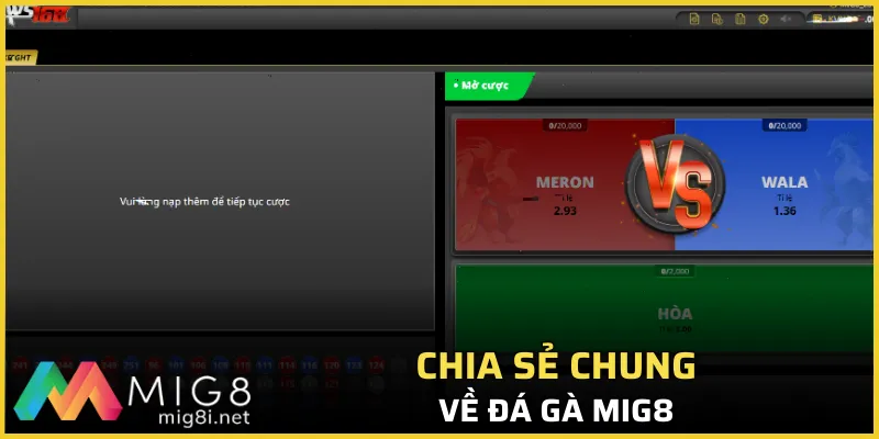 Đá Gà Mig8 - Xứng Danh Thiên Đường Giải Trí Top 1 1 Chia sẻ chung về đá gà Mig8