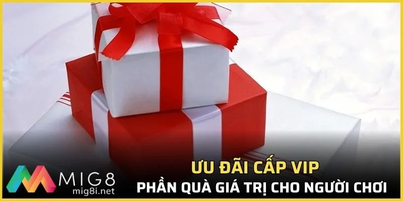Cấp Vip Mig8 & Quyền Lợi Giá Trị Cho Hội Viên Trung Thành 3 Đặc quyền riêng dành cho VIP