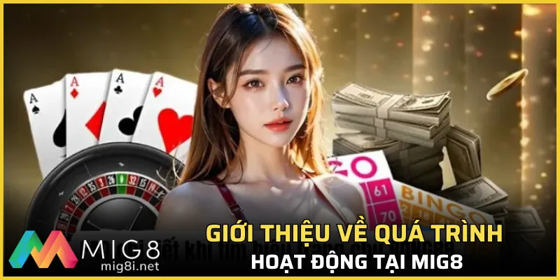 Giới thiệu sơ lược về quá trình hoạt động chung tại Mig8