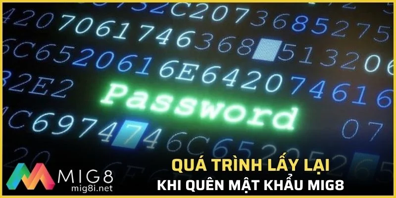 Quên Mật Khẩu Mig8? Hướng Dẫn Cách Khôi Phục Đơn Giản 2026 2 Quá trình lấy lại khi quên mật khẩu Mig8