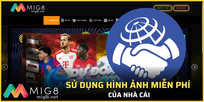 Đăng Ký Đại Lý Mig8 Với Giá Trị Hoa Hồng Lên Đến Hơn 40% 3 Quyền lợi sử dụng hình ảnh miễn phí của nhà cái