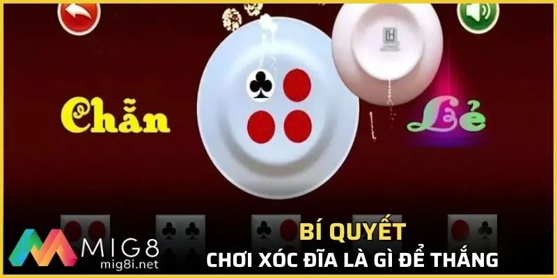 Xóc Đĩa Là Gì - Hướng Dẫn Cơ Bản Cho Giới Mê Đỏ Đen 3 Bí kíp chơi xóc đĩa là gì để thắng