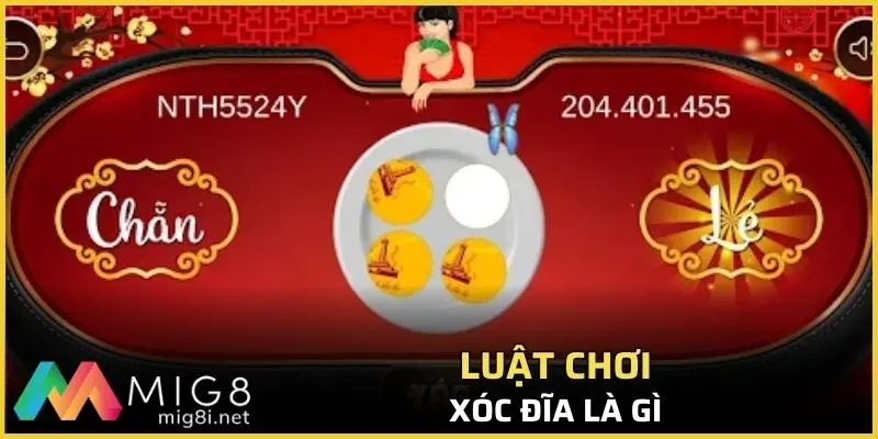Xóc Đĩa Là Gì - Hướng Dẫn Cơ Bản Cho Giới Mê Đỏ Đen 1 Xóc đĩa là gì, luật chơi như thế nào