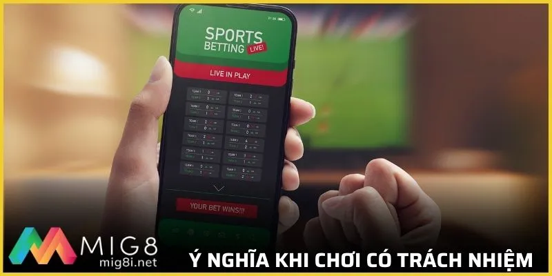 Chơi Có Trách Nhiệm Mig8: Giải Trí Và Bảo Vệ Quyền Lợi 3 Ý nghĩa quan trọng của ý thức tốt khi chơi game